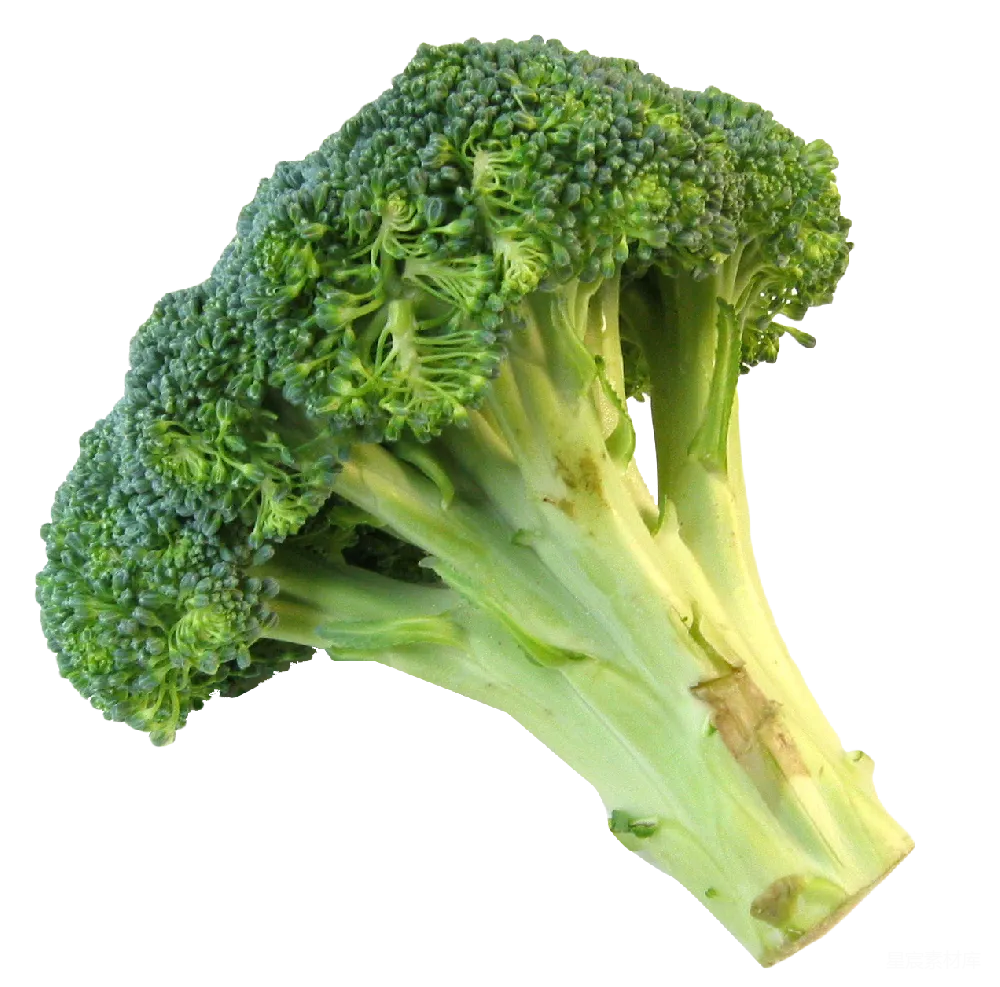 元素素材 元素 broccoli