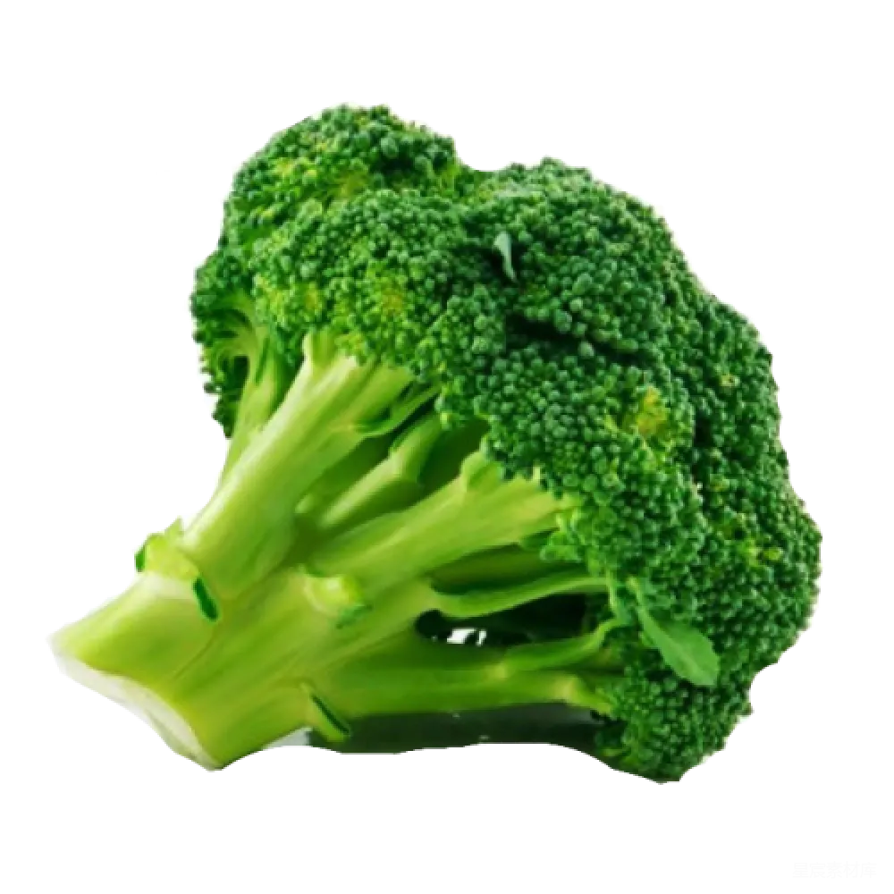 元素素材 西兰花