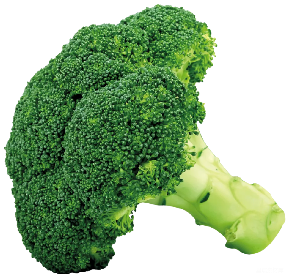 元素素材 元素 broccoli