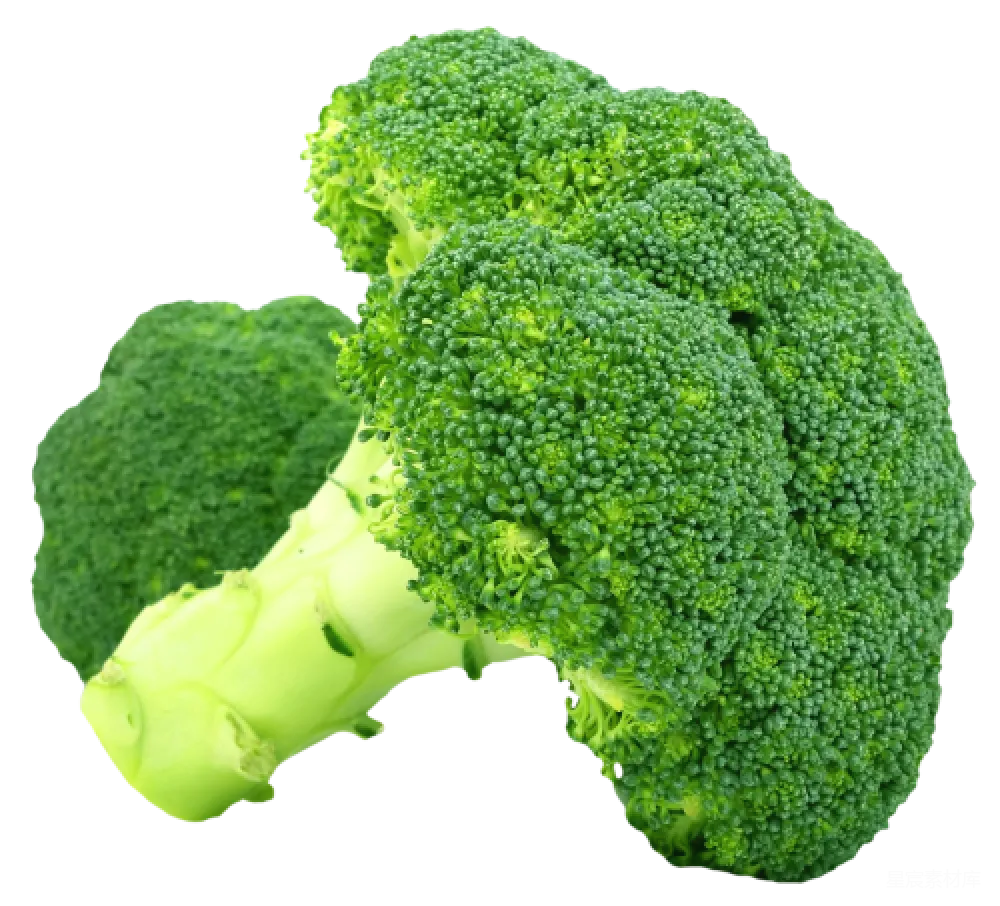 元素素材 broccoli