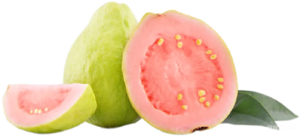元素素材 元素 谷歌 Guava