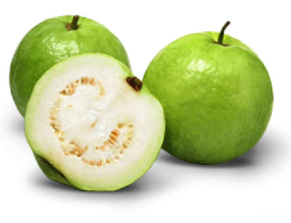 元素素材 谷歌 Guava