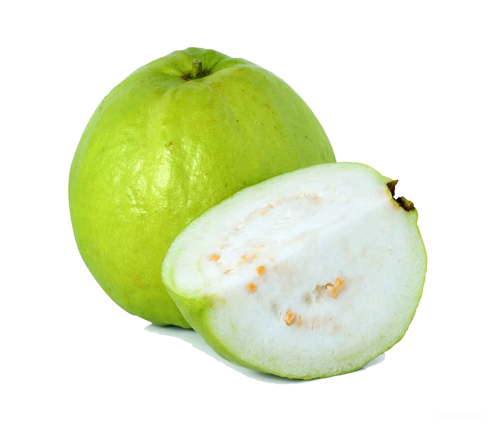 元素素材 元素 谷歌 Guava