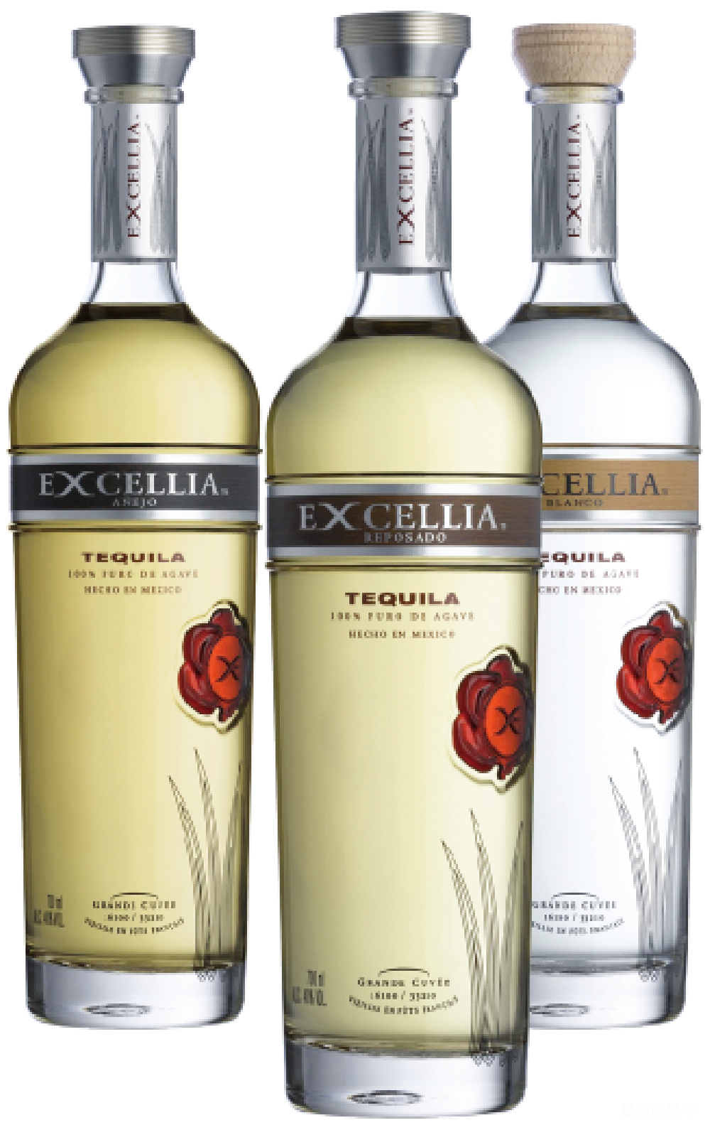 元素素材 墨西哥龙舌兰酒 高端酒品 彩色背景 Excellia Tequila Bottles with Colorful Background