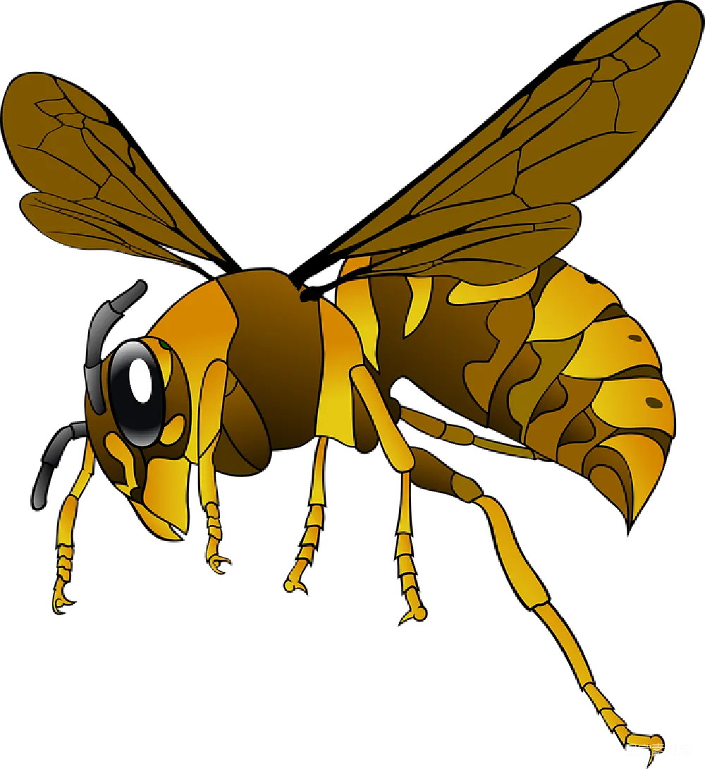 元素素材 卡通蜜蜂插图