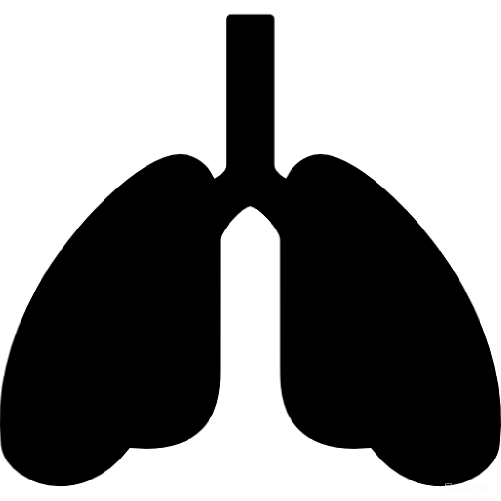 元素素材 肺