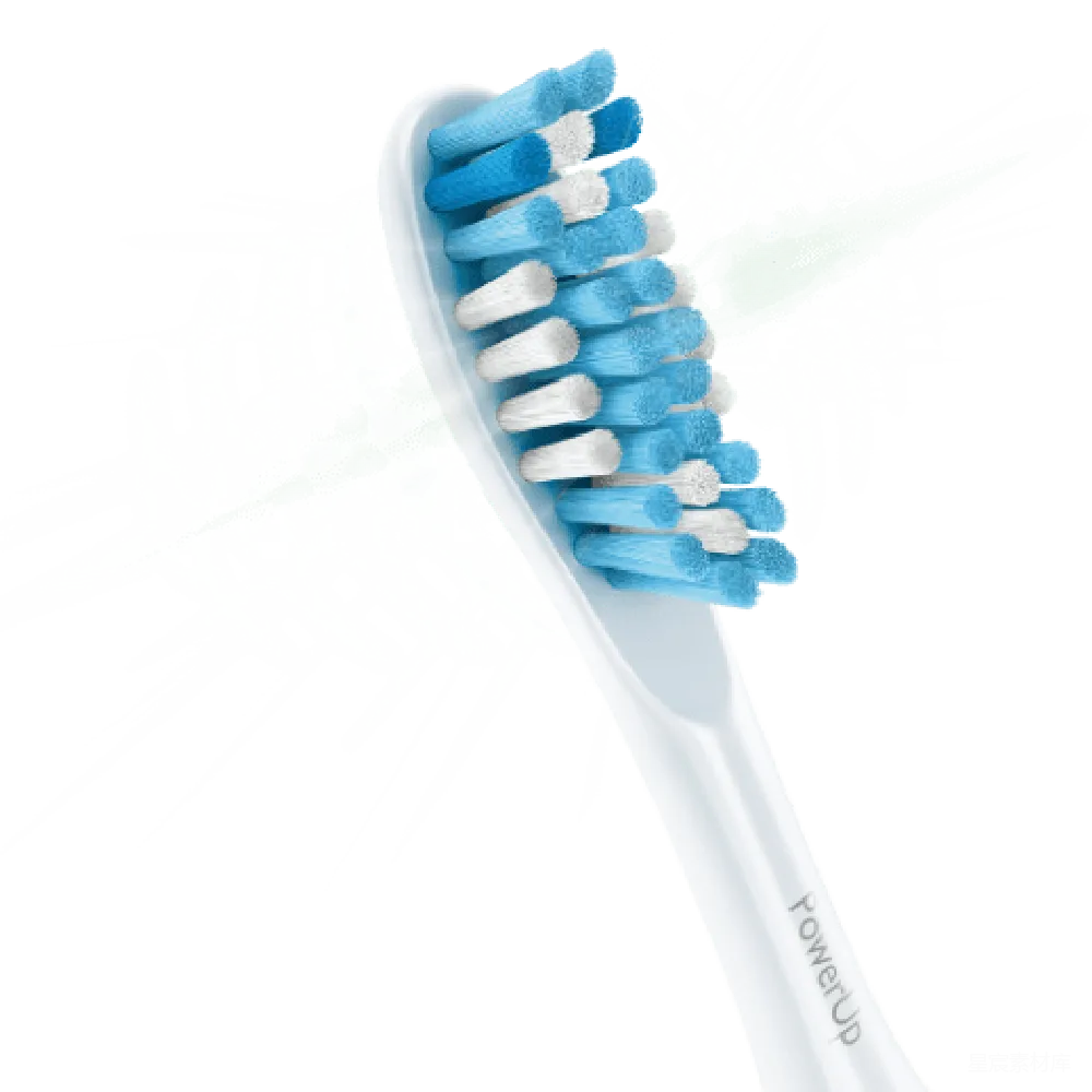 元素素材 PNG