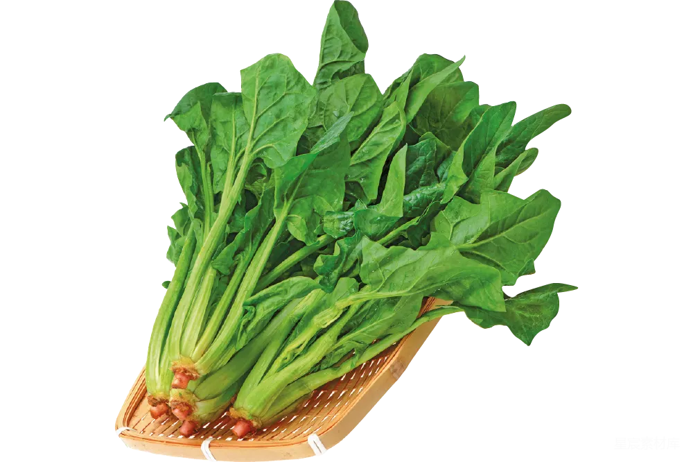 元素素材 蔬菜 健康饮食 自然清新 新鲜菠菜