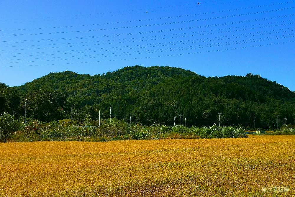 高清摄影  背景中有山的一片田野