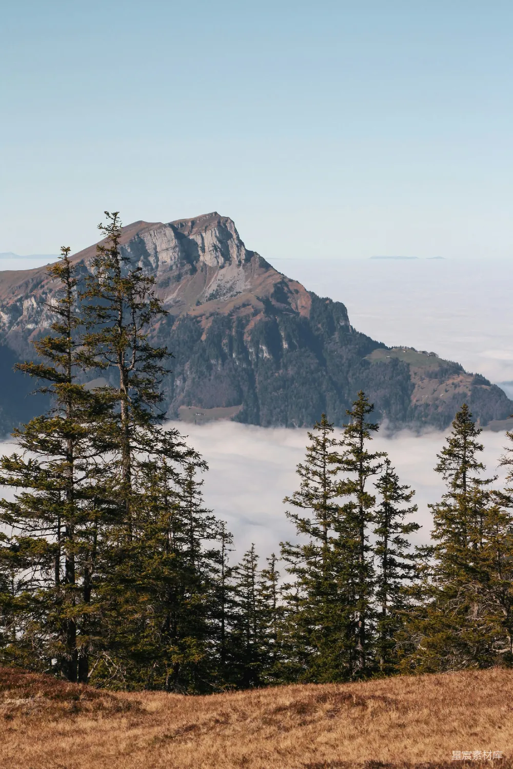 高清摄影 山前有树