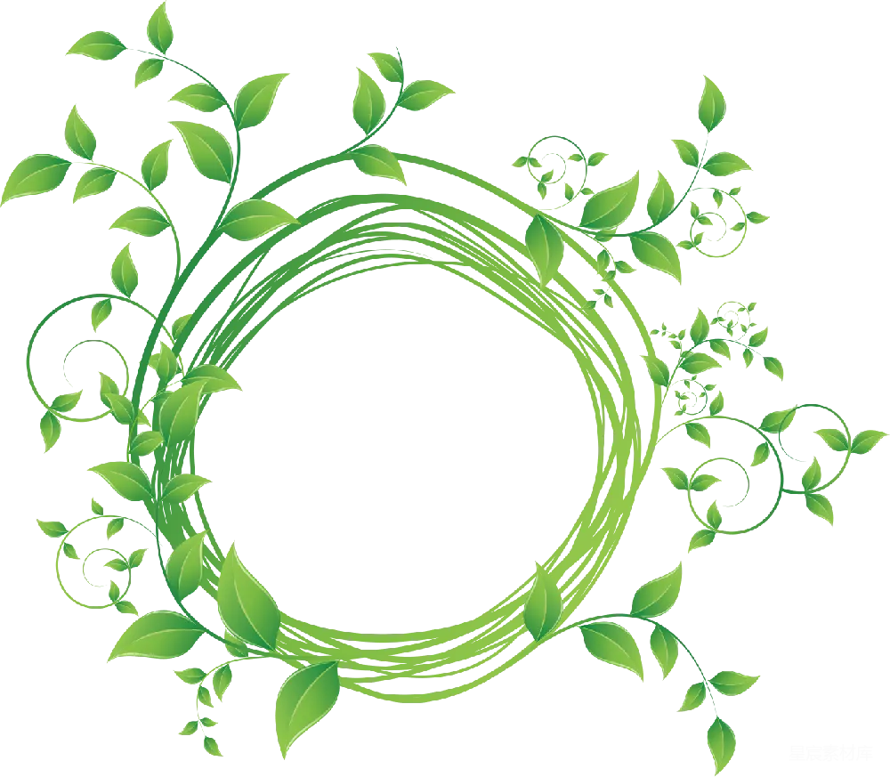 元素素材 边框 植物 插图 绿色植物花卉边框