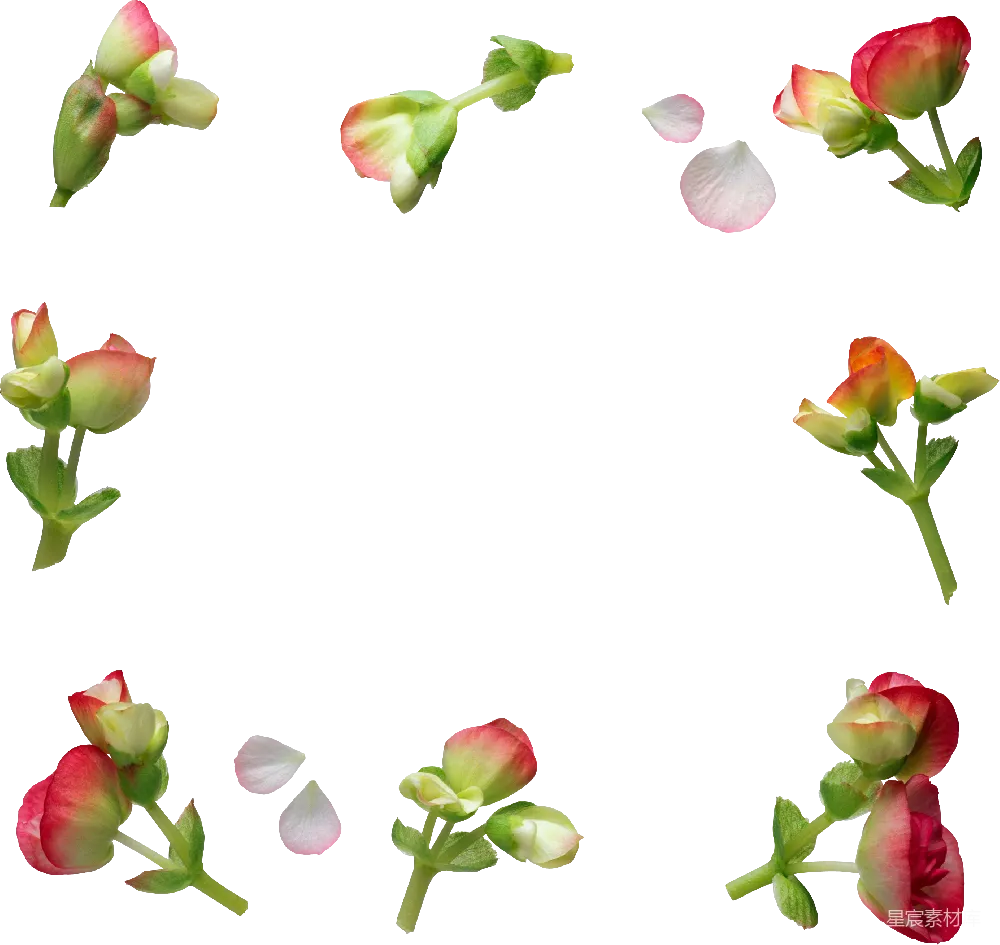 元素素材 花卉