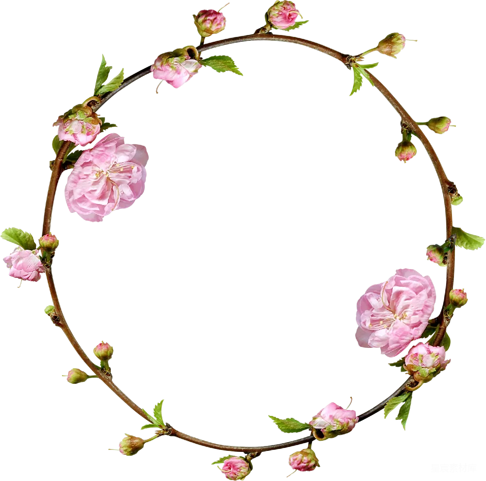 元素素材 元素 花卉