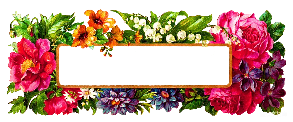 元素素材 元素 花卉