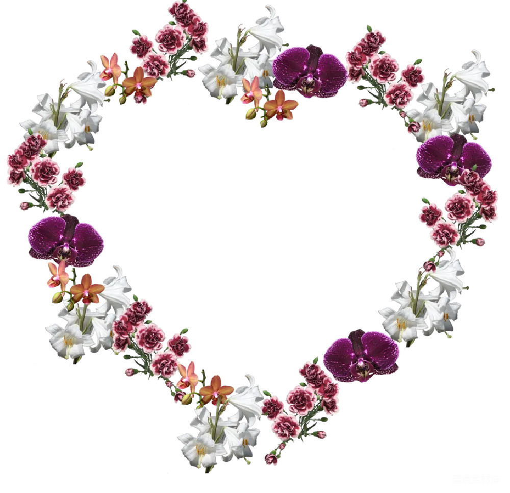 元素素材 元素 花卉