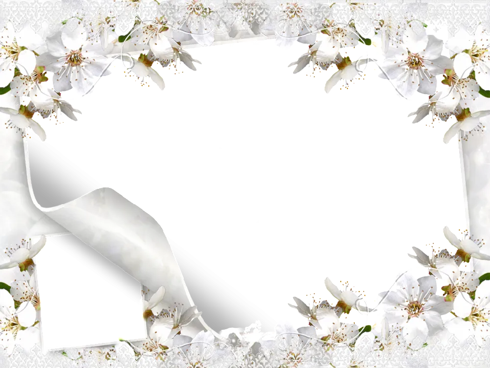 元素素材 元素 花香