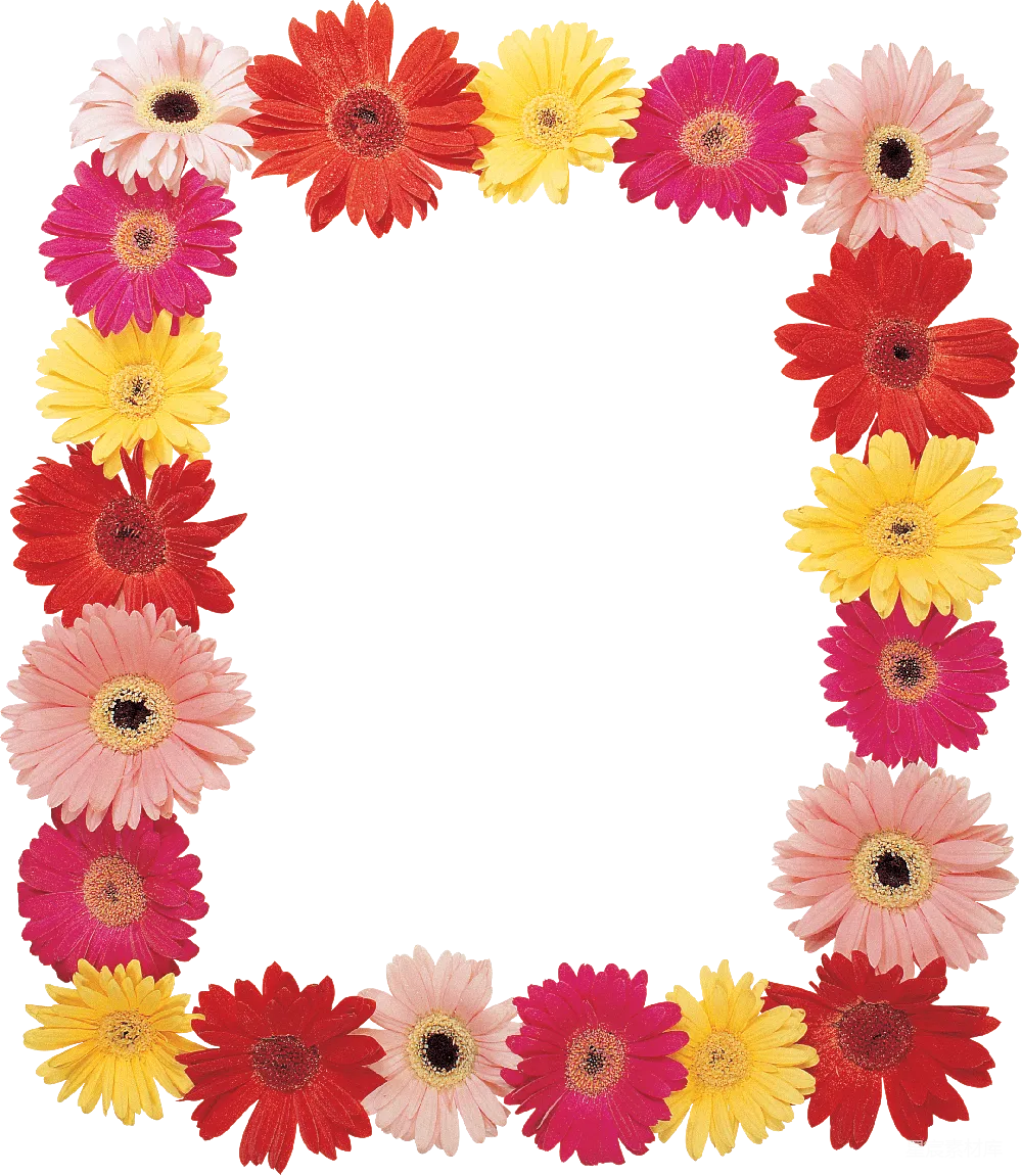 元素素材 花卉