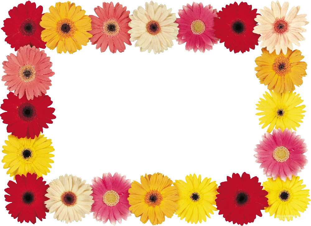 元素素材 元素 花卉