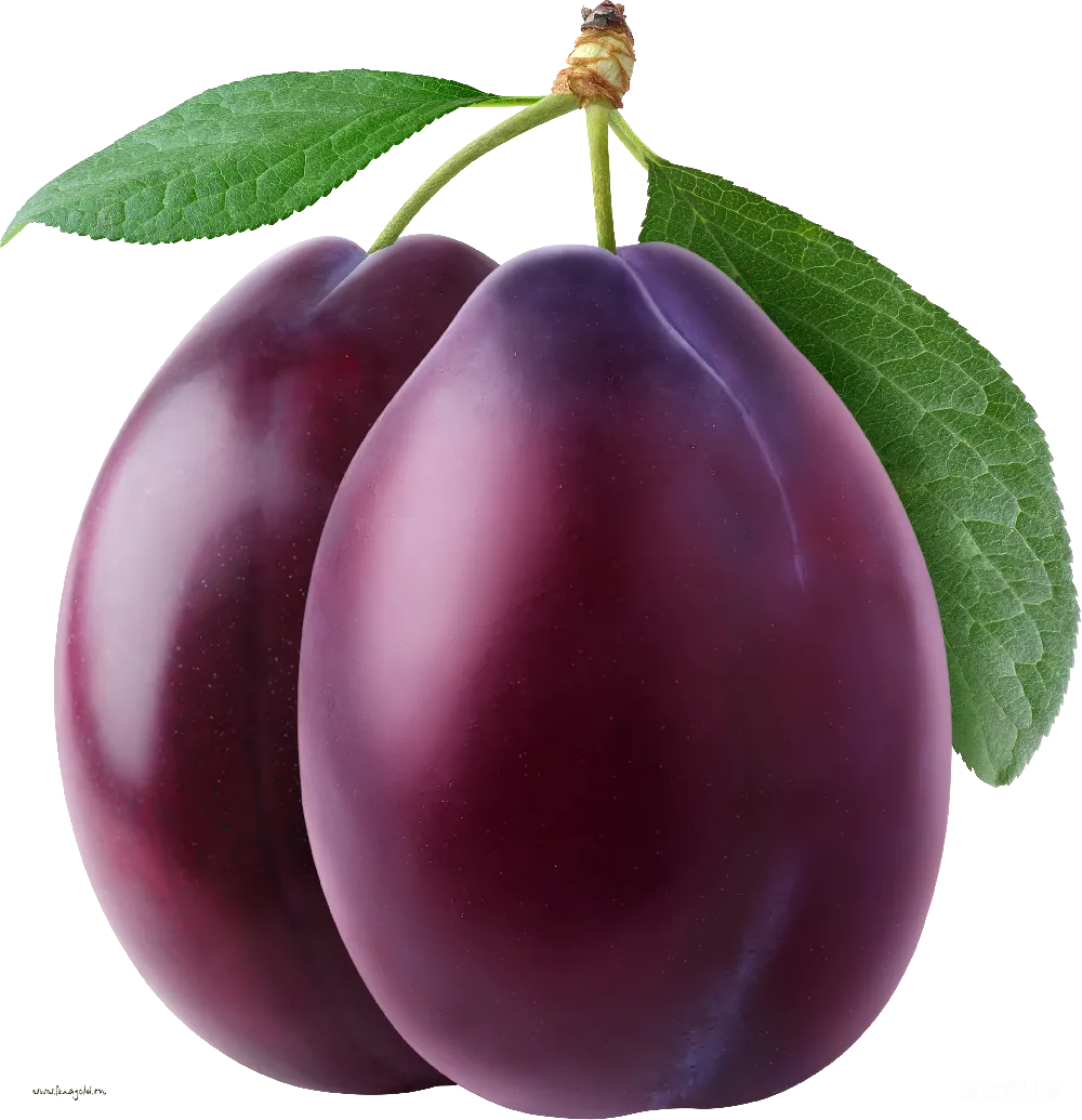 元素素材 plum
