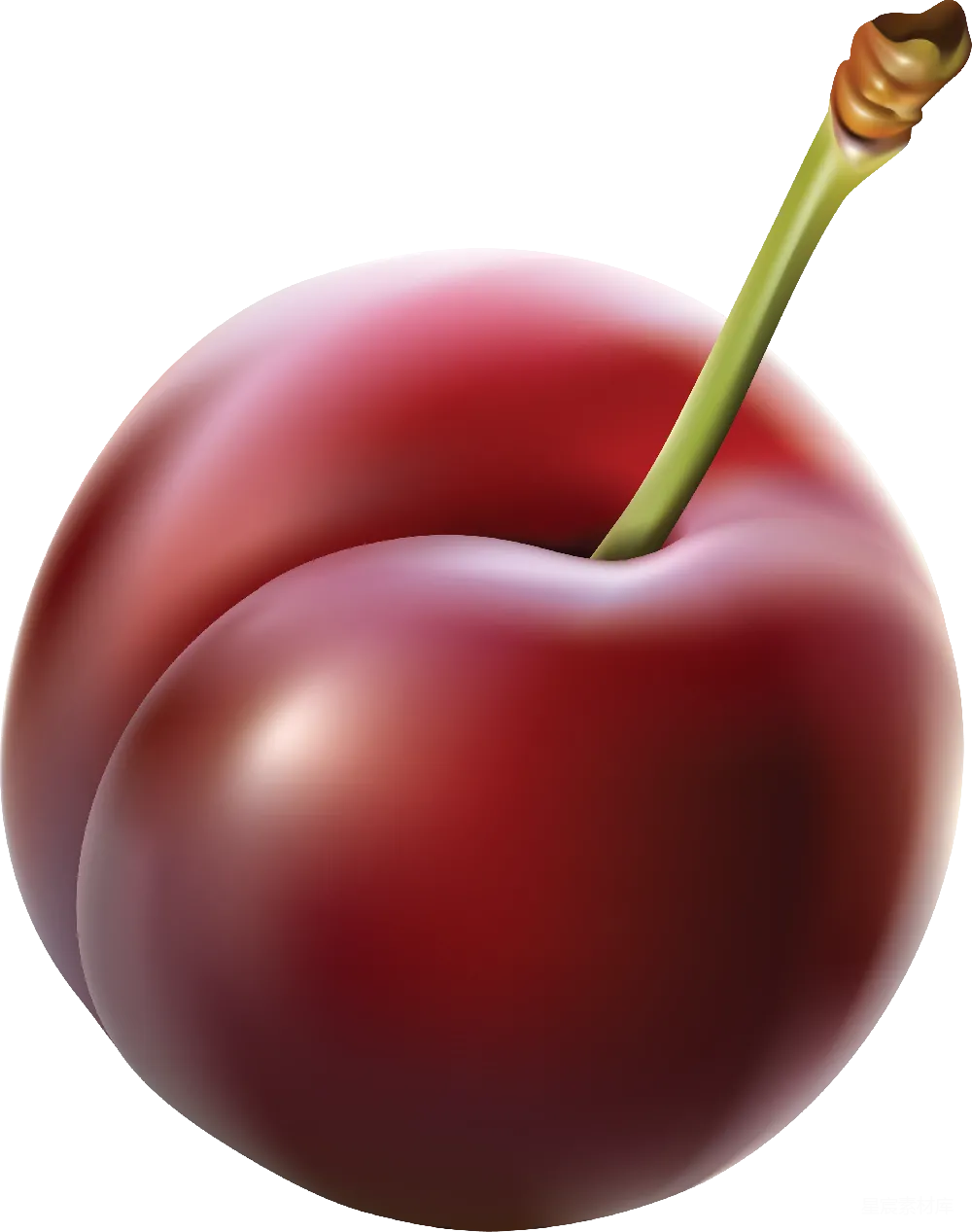 元素素材 元素 plum