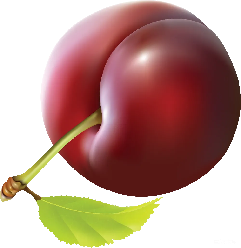 元素素材 元素 plum