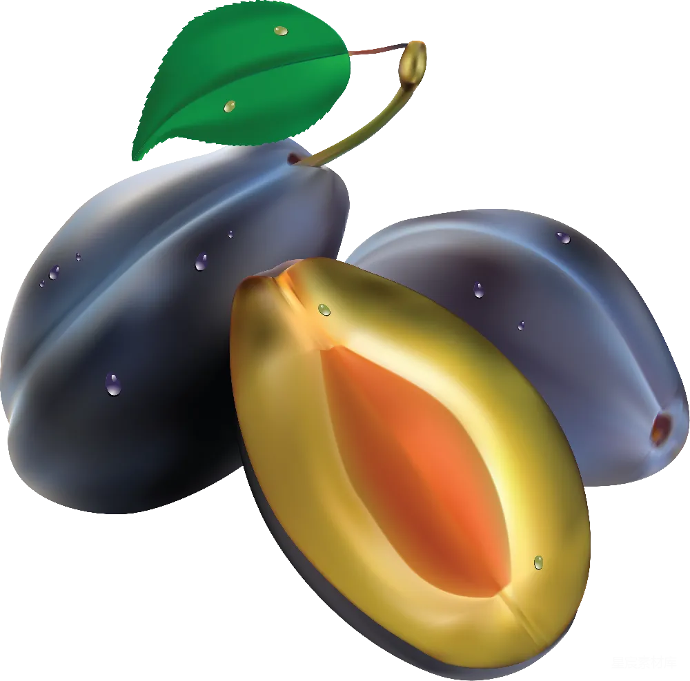 元素素材 plum