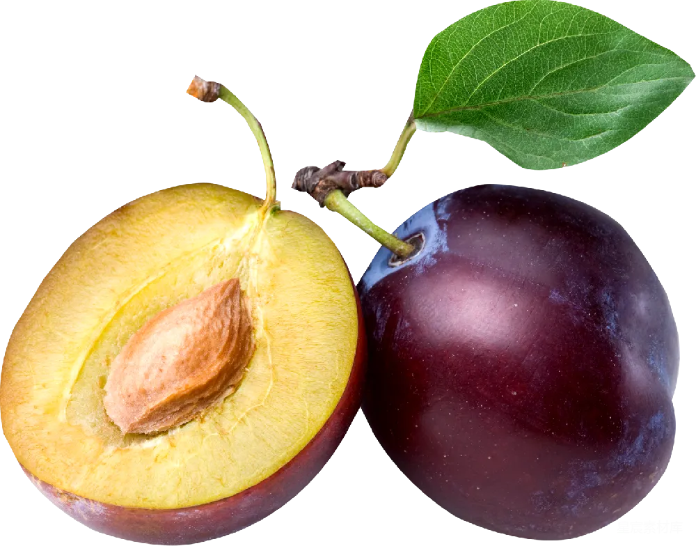 元素素材 plum
