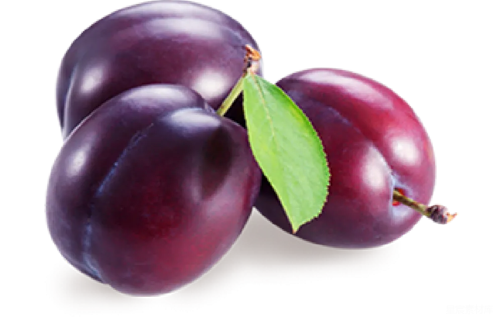 元素素材 plum