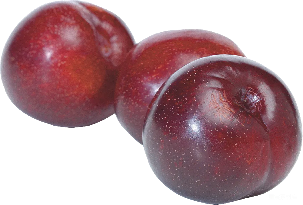 元素素材 plum
