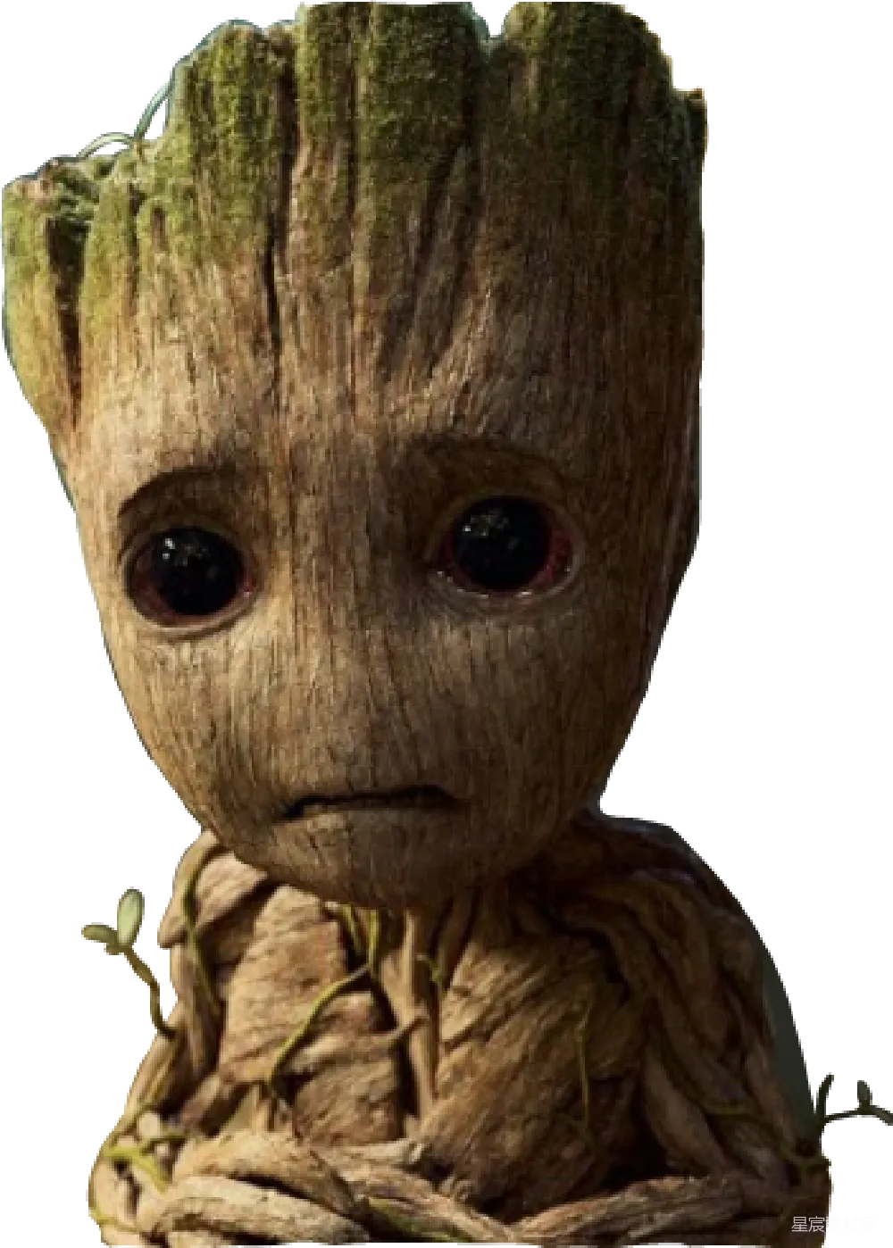元素素材 巨人的英文是"Groot"。
