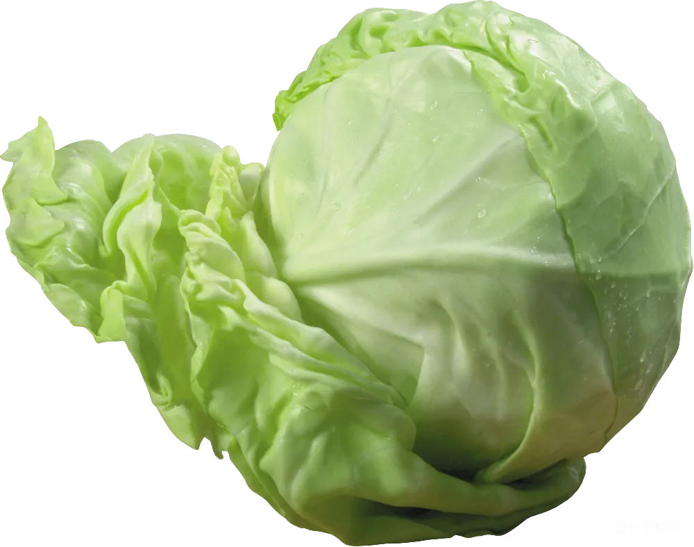 元素素材 白菜
