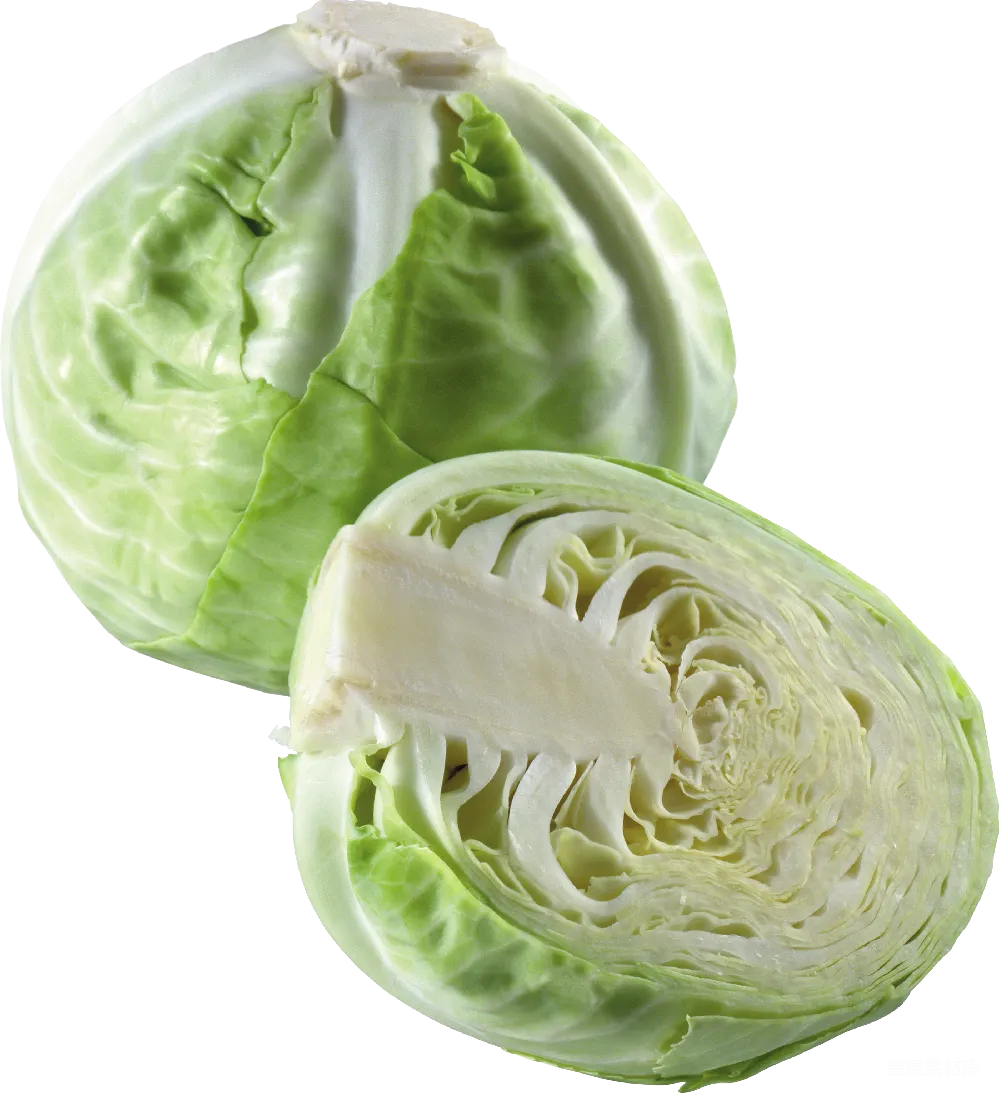 元素素材 白菜