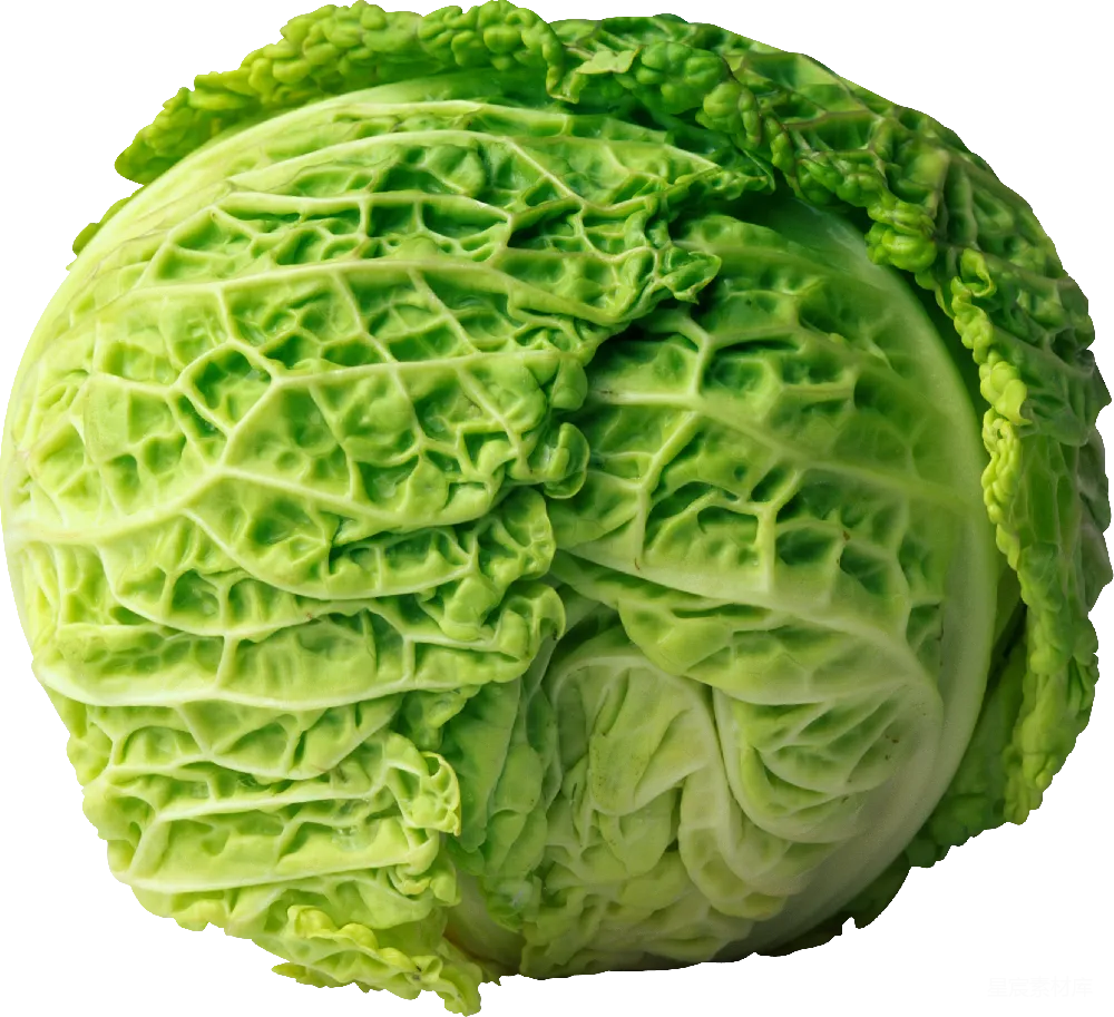 元素素材 白菜
