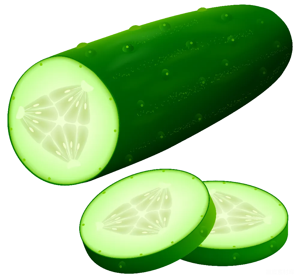 元素素材 黄瓜 蔬菜 插图 新鲜黄瓜插图
