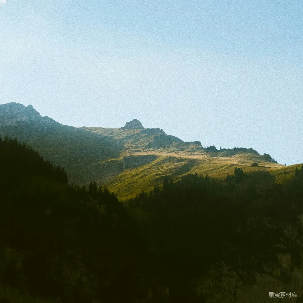 高清摄影  有树有山的风景图