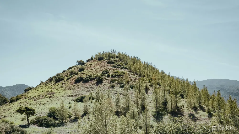 高清摄影  山顶有树的一座小山