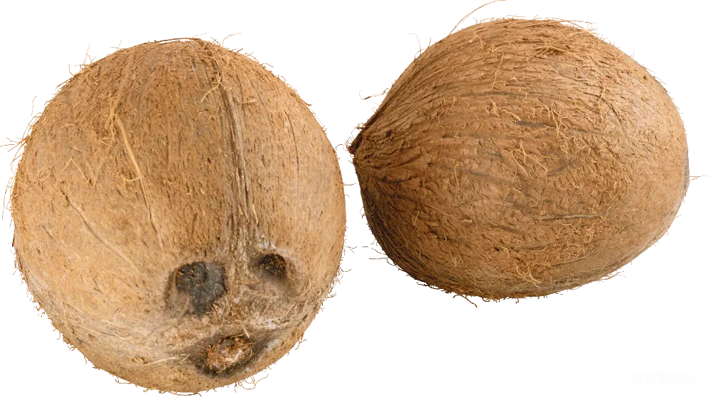 元素素材 PNG