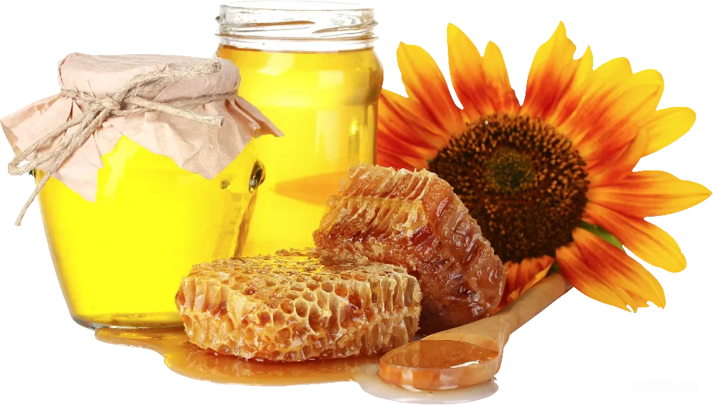 元素素材 元素 蜂蜜