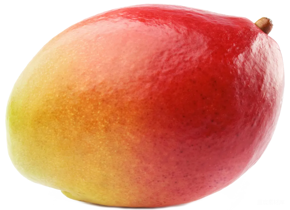 元素素材 mango