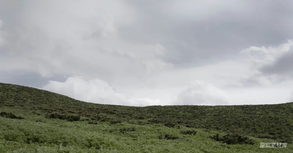 高清摄影 绿草.fields下白云
