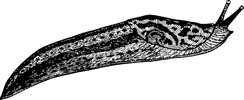 元素素材 夜晚的星空