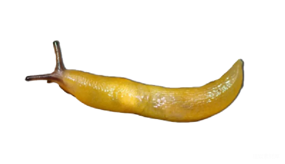 元素素材 Slug