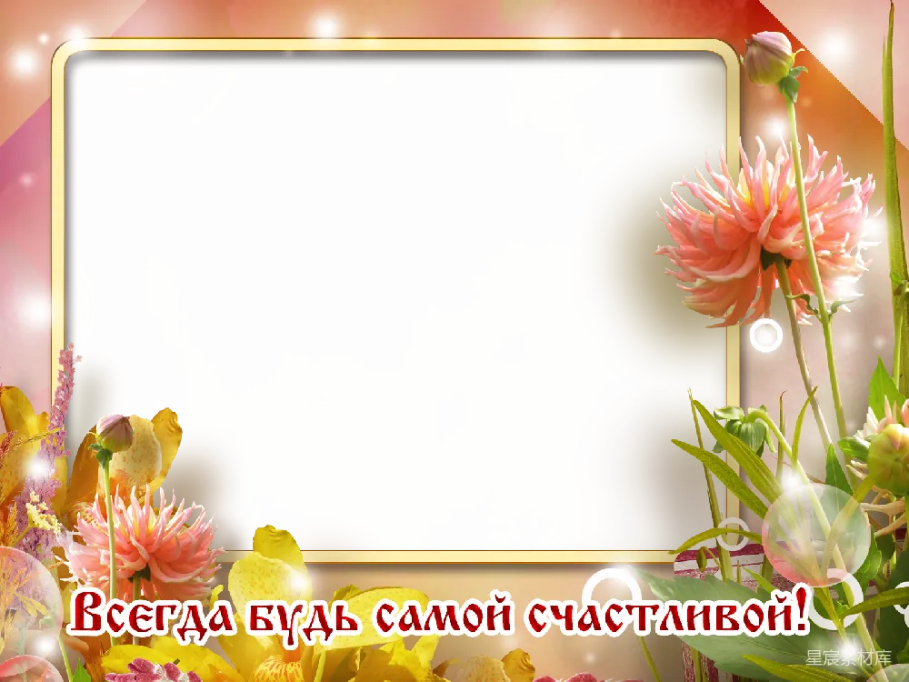 元素素材 透明