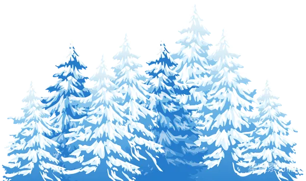 元素素材 被雪覆盖的松树