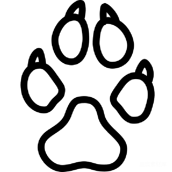 元素素材 夜晚的星空