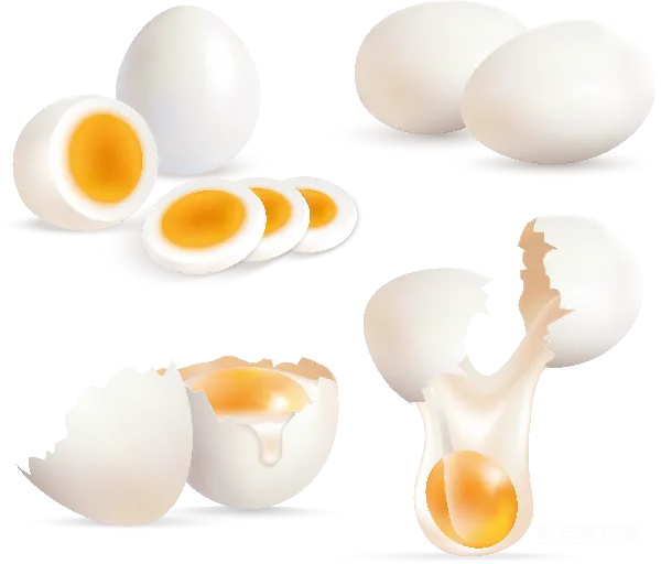 元素素材 鸡蛋集合插图