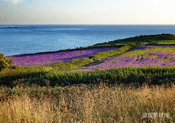 高清摄影 白天草地上方有水体附近