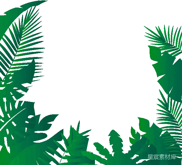 元素素材 热带植物边框