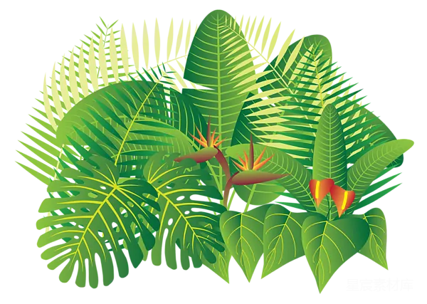元素素材 热带植物插画
