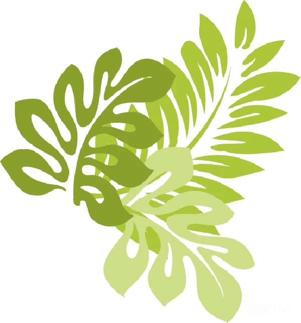 元素素材 热带植物剪影